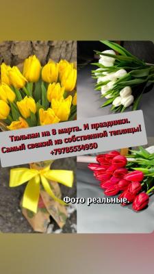 Прикрепленное изображение: IMG_20240226_125757_099.jpg